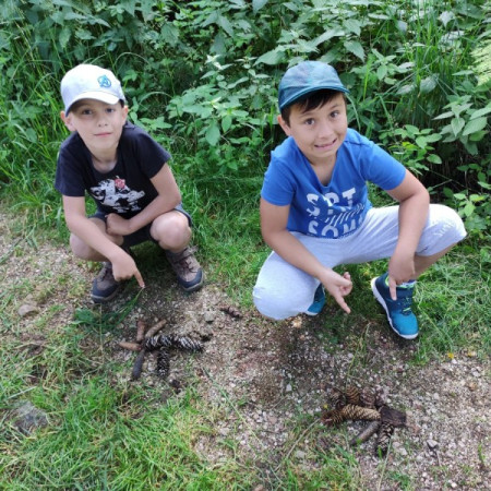 [110080862-579900739339935-5542608974133375013-n.jpeg]