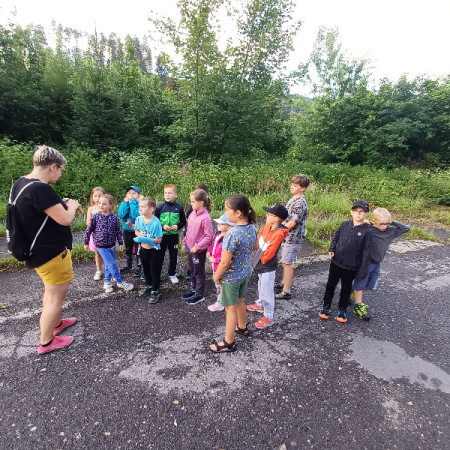 [obrazek-whatsapp-2025-07-13-v-20.47.16-d6f11af4.jpeg]