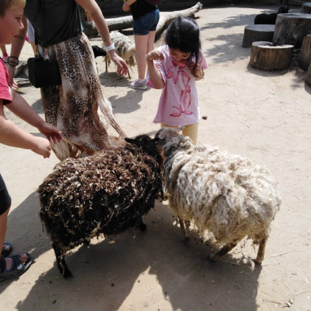 [img-20210726-wa0016.jpeg]