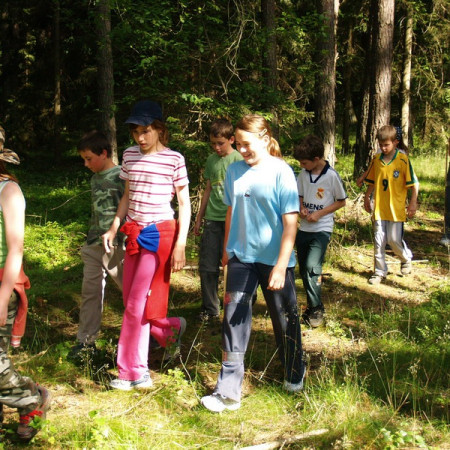 [etapy-20-resize.jpeg]