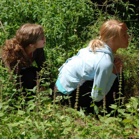 [dsc-0080-resize.jpeg]