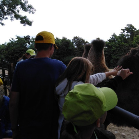 [img-20210807-wa0036.jpeg]