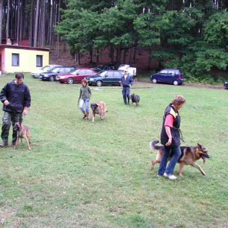 [dsc00905-resize-resize.jpeg]