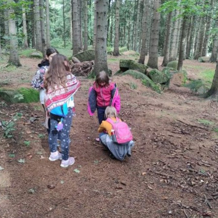 [received-309251867622993.jpeg]