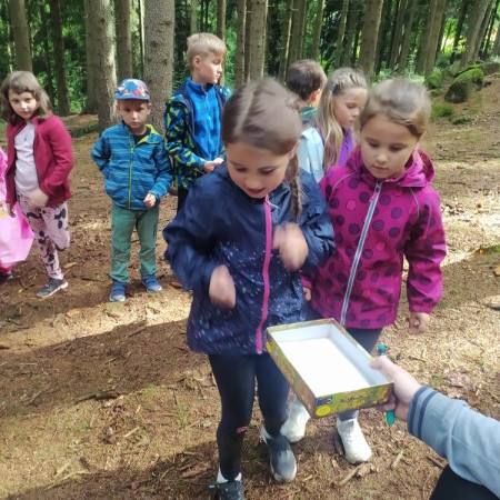 [img-20230731-wa0011.jpeg]