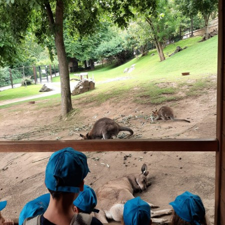 [img-20230710-wa0066.jpeg]