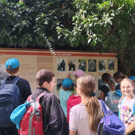 [inbound4495065364542401192.jpeg]