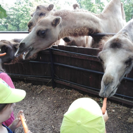 [img-20210726-wa0065.jpeg]