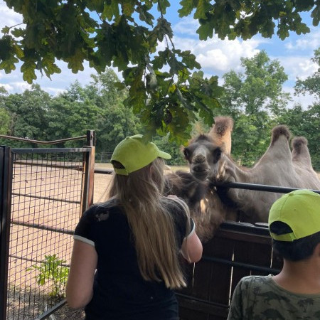 [img-20210723-wa0014.jpeg]