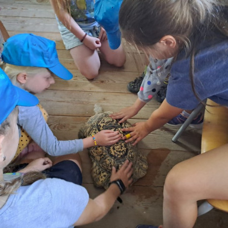 [f1bc86f9-b91d-4acf-9cac-8783ca037723.jpeg]