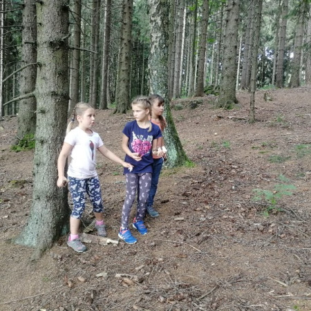 [img-20210816-094941.jpeg]