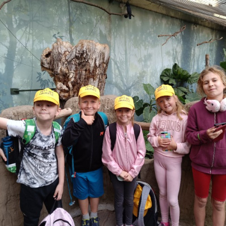 [img-20240704-141854.jpeg]