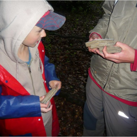 [p1040577-resize.jpeg]