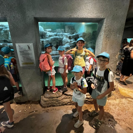 [img-20240731-wa0062.jpeg]