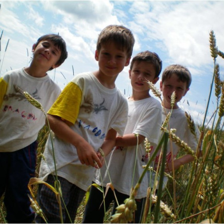 [100-0361-resize.jpeg]