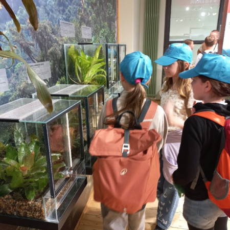 [20250730-101318.jpeg]