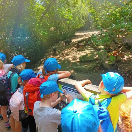 [img20230705133906.jpeg]