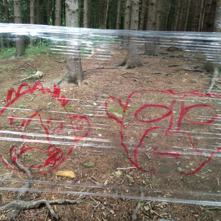 [img-20190814-155849.jpeg]