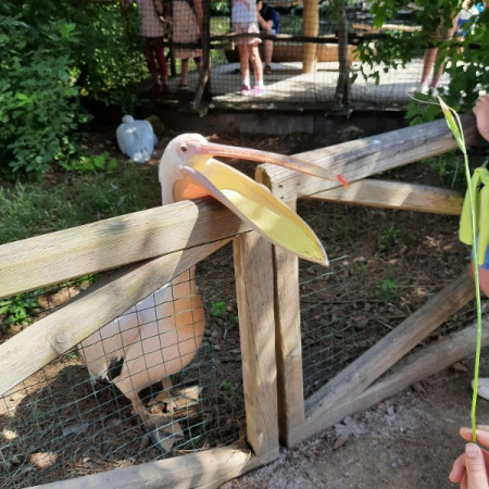 [20210716-103437.jpeg]