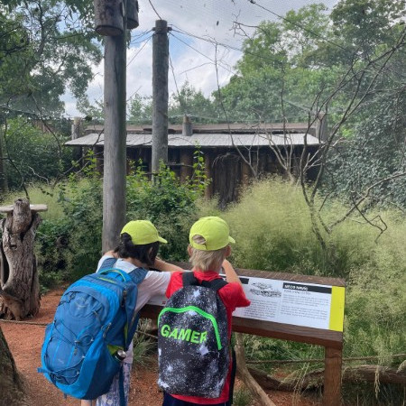 [img-20210723-wa0001.jpeg]