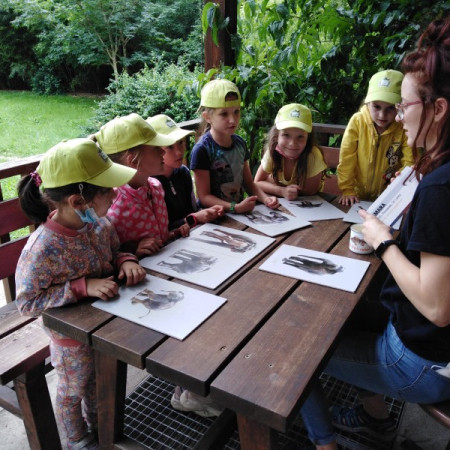 [img-20210726-wa0031.jpeg]