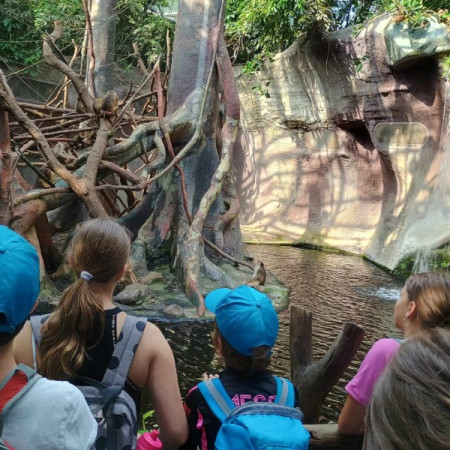 [inbound924754714686503810.jpeg]