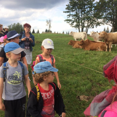 [118316595-756486665147037-3665336189502996630-n.jpeg]