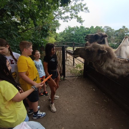 [img-20240710-132718.jpeg]