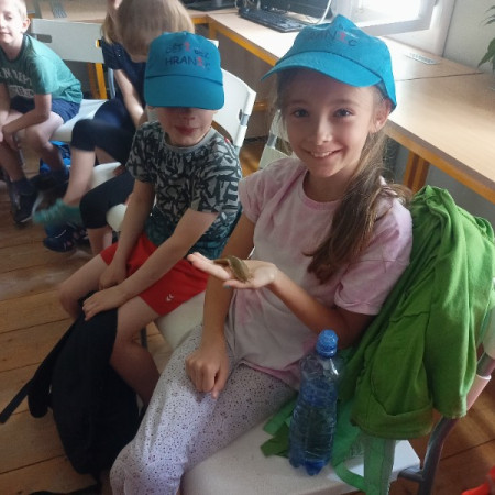 [img20230706112334.jpeg]