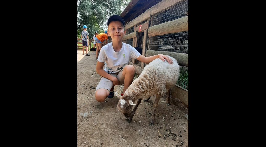 Příměstský tábor v zoo 1 2026