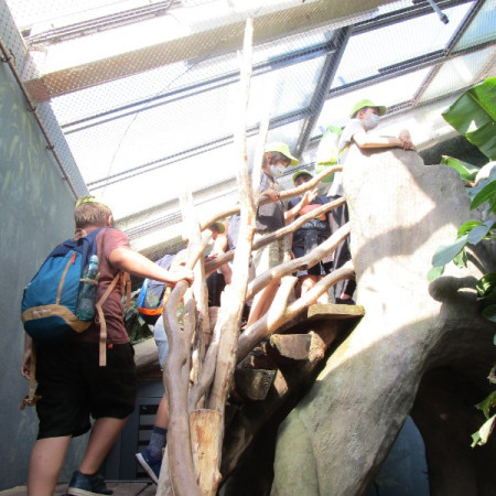 Příměstský tábor 3 2021