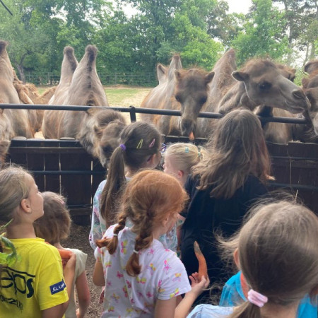 [img-20230703-wa0029.jpeg]