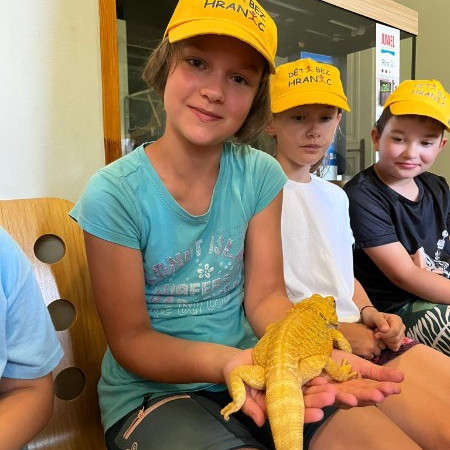 [img-20240712-wa0059.jpeg]