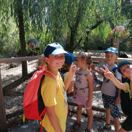 [img-20220816-151224.jpeg]