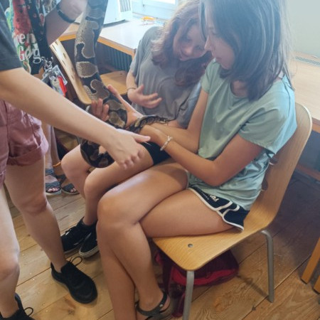 [img-20240823-wa0002.jpeg]