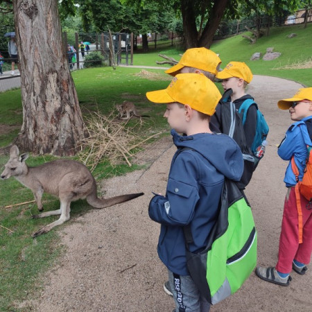 [364766163-10220247115042439-6607998809239809722-n.jpeg]