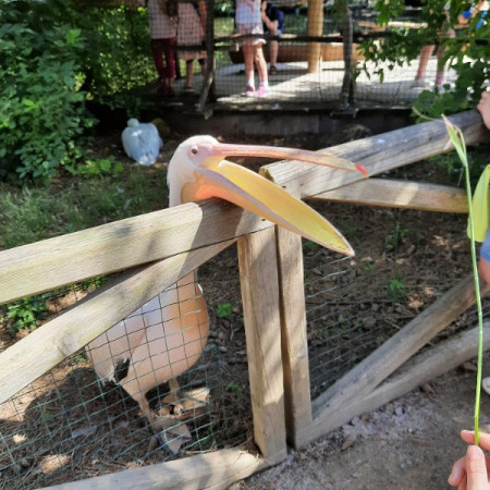 [20210716-103436.jpeg]