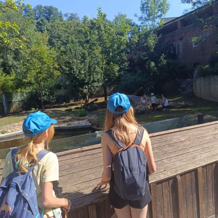 [img-20240823-wa0176.jpeg]