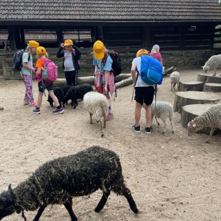 [img-20240701-wa0008.jpeg]