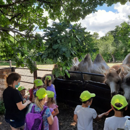 [20210712-140638.jpeg]