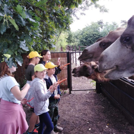 Příměstský tábor 4 2021