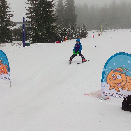 [img-20170310-095214.jpeg]