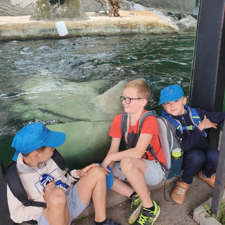 [img-20220713-wa0066.jpeg]