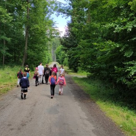 [208334826-334943714780832-1144107139128357167-n.jpeg]