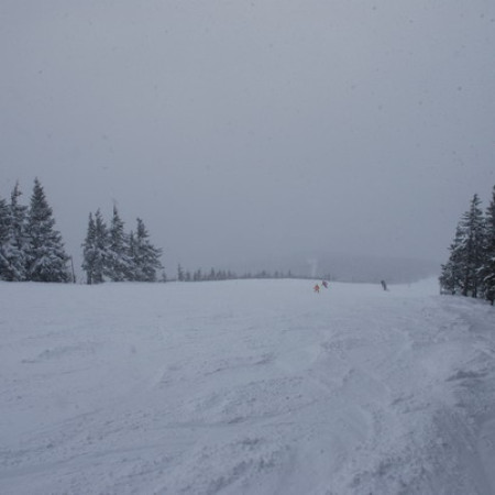 [dsc-0711-resize.jpeg]