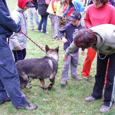 [dsc00911-resize-resize.jpeg]