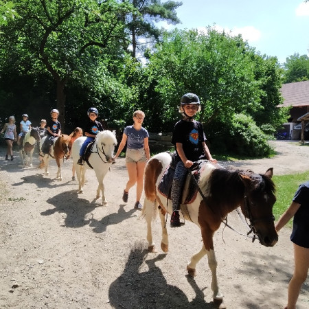 [5.-den-3.7-13-.jpeg]