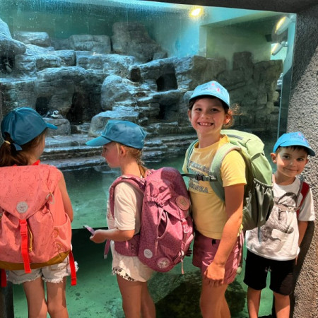 [img-20240731-wa0065.jpeg]