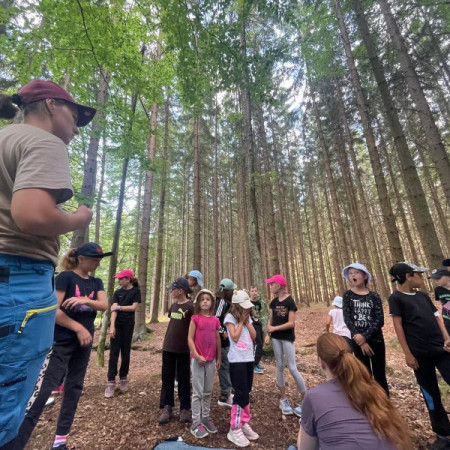 [2fb7db31-dcb0-4b13-ab8d-8a3887074640.jpeg]