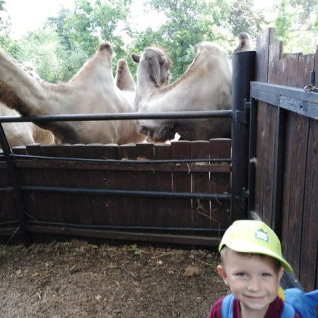 [img-20210726-wa0058.jpeg]